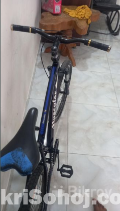 Duranta muscular 24 non gear